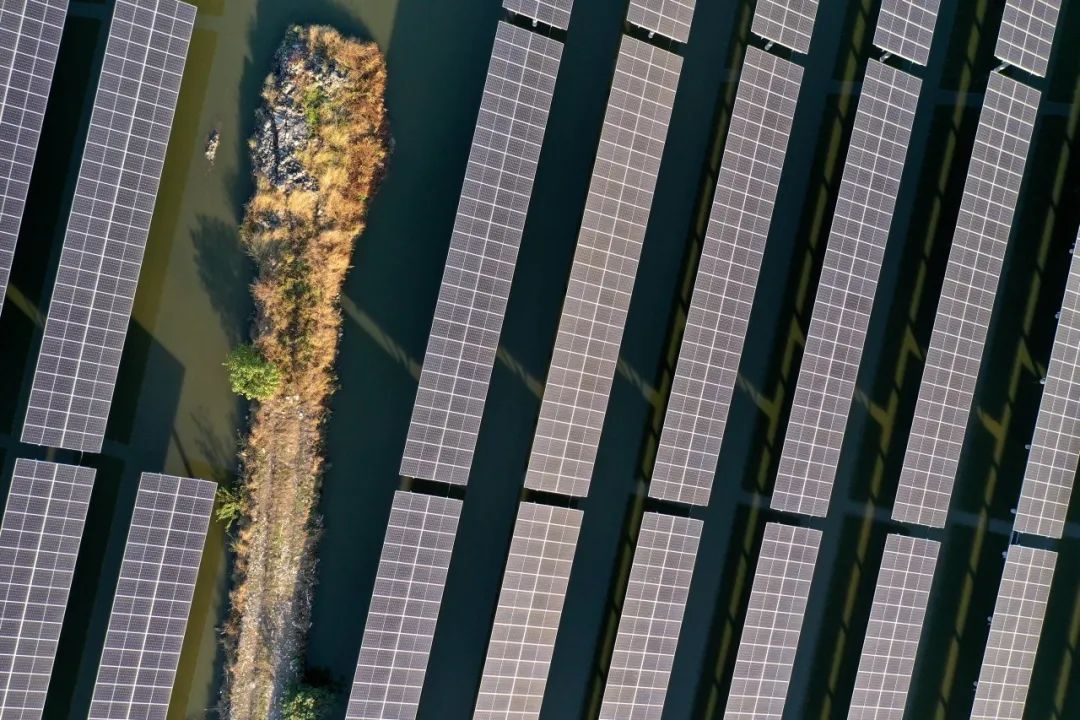 300MW！晶科科技成功中标福建莆田渔光互补光伏项目